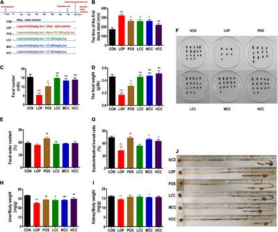 Cymbopogon citratus (DC.) Stapf aqueous extract ameliorates loperamide-induced constipation in mice by promoting gastrointestinal motility and regulating the gut microbiota